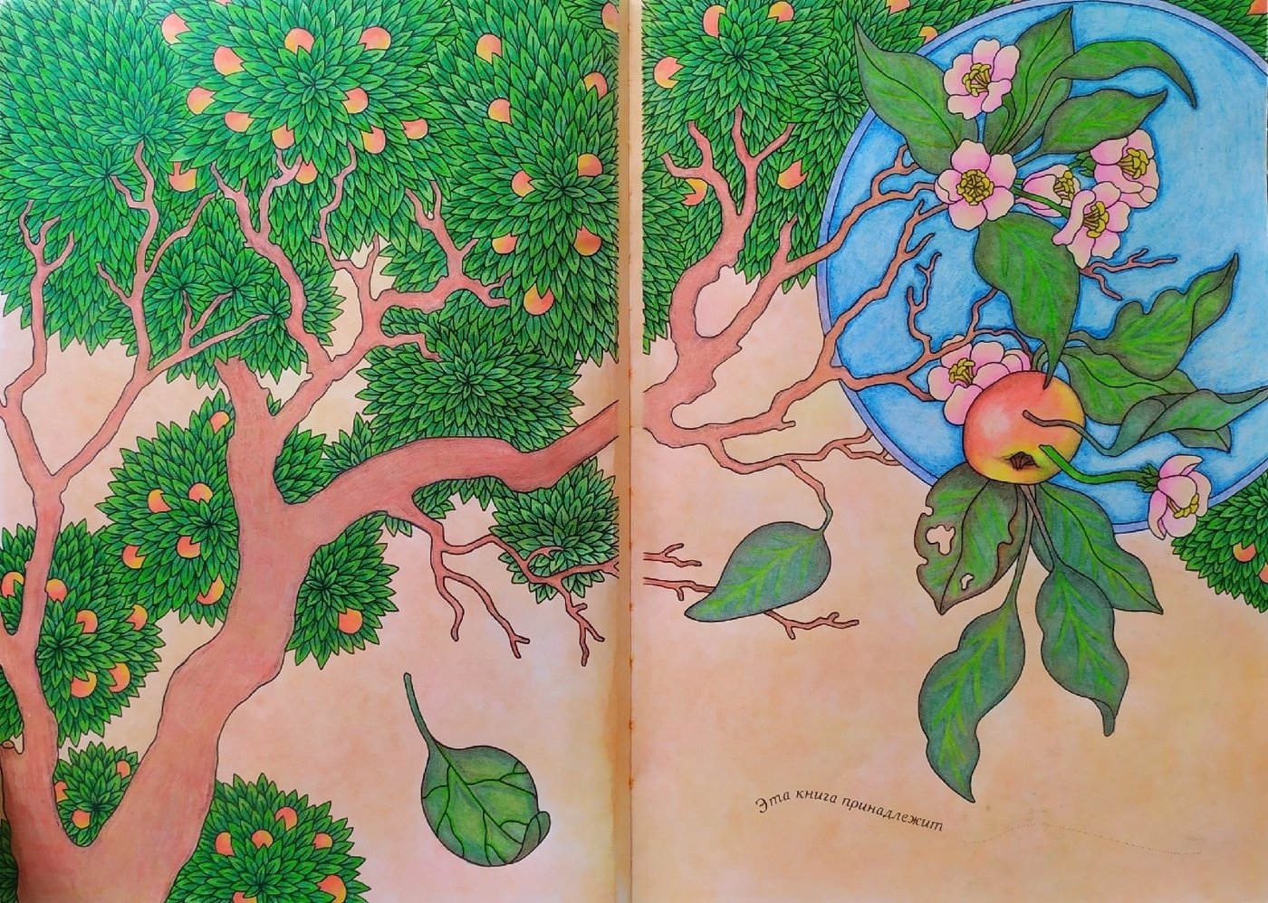 Работа от Daria_colloring_hobby