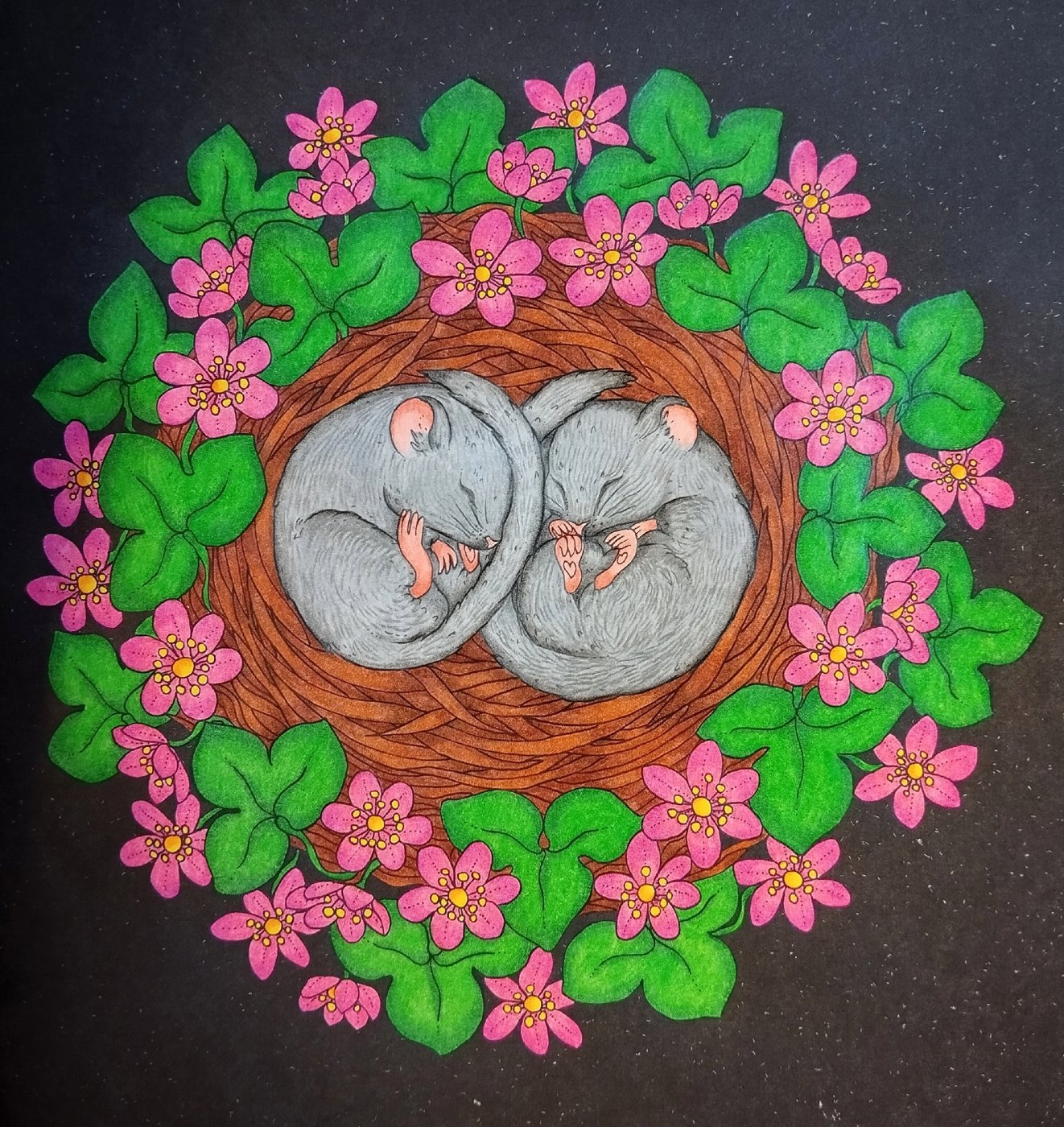 Работа от Daria_coloring_hobby