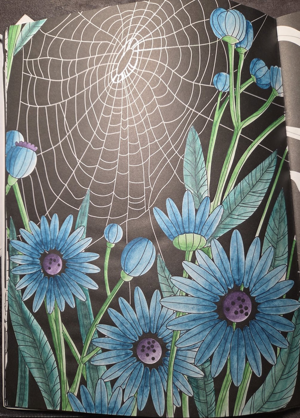 Работа от Александра К.