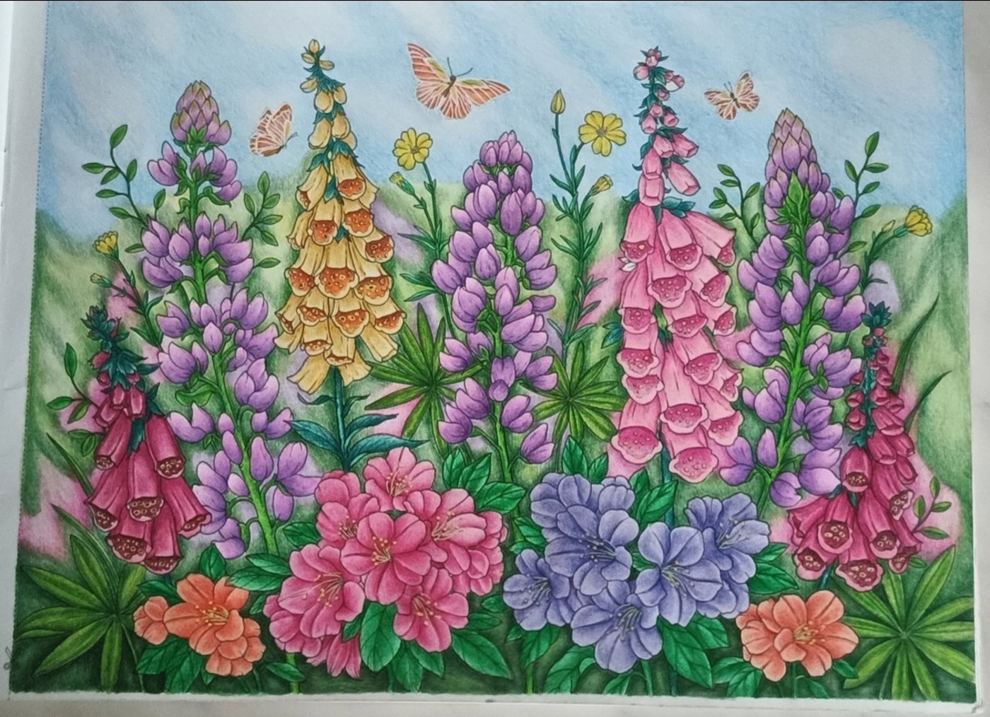 Работа от Sneginka