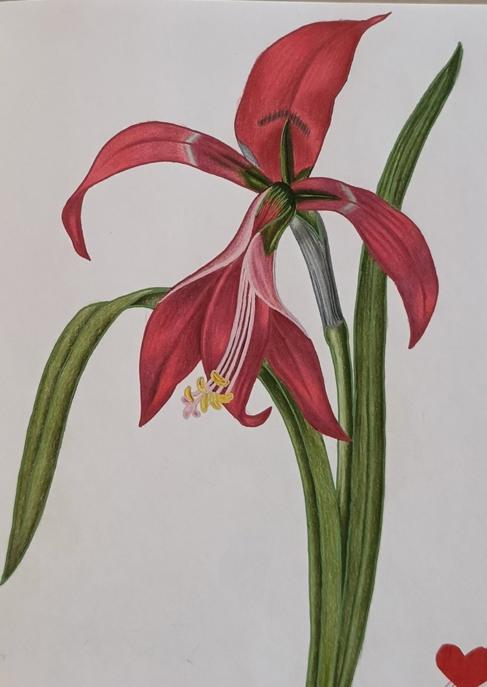 Работа от Снежана