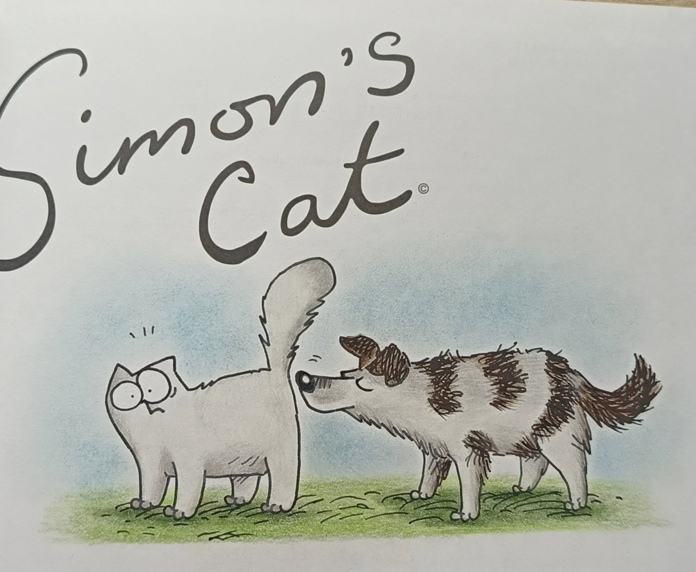 Работа от Снежана