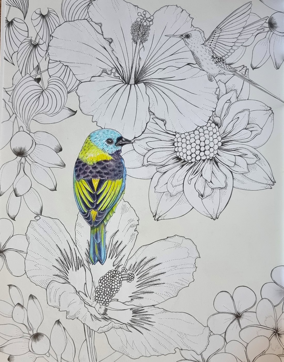 Работа от Murena Coloring