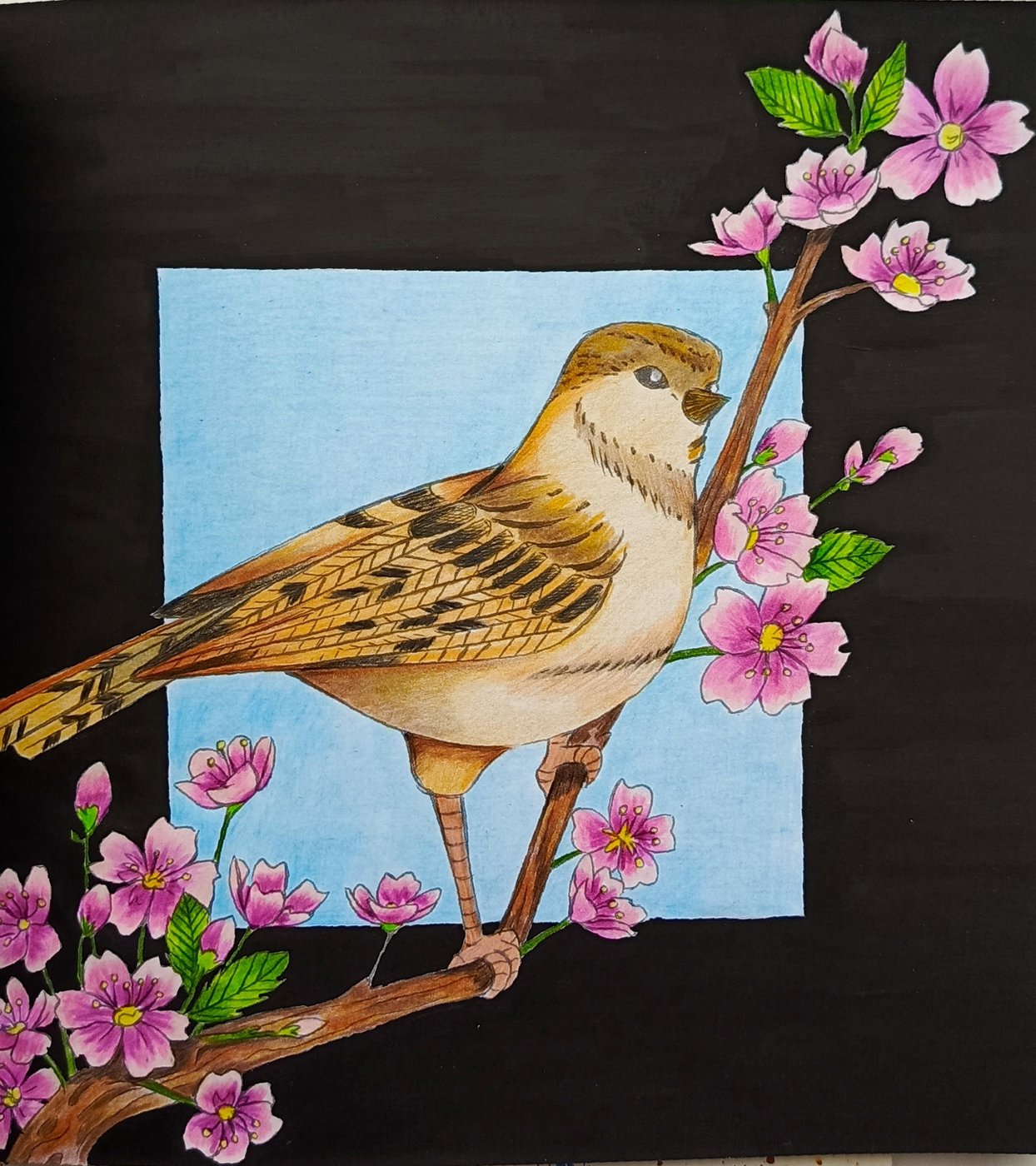 Работа от RomanovnaMari