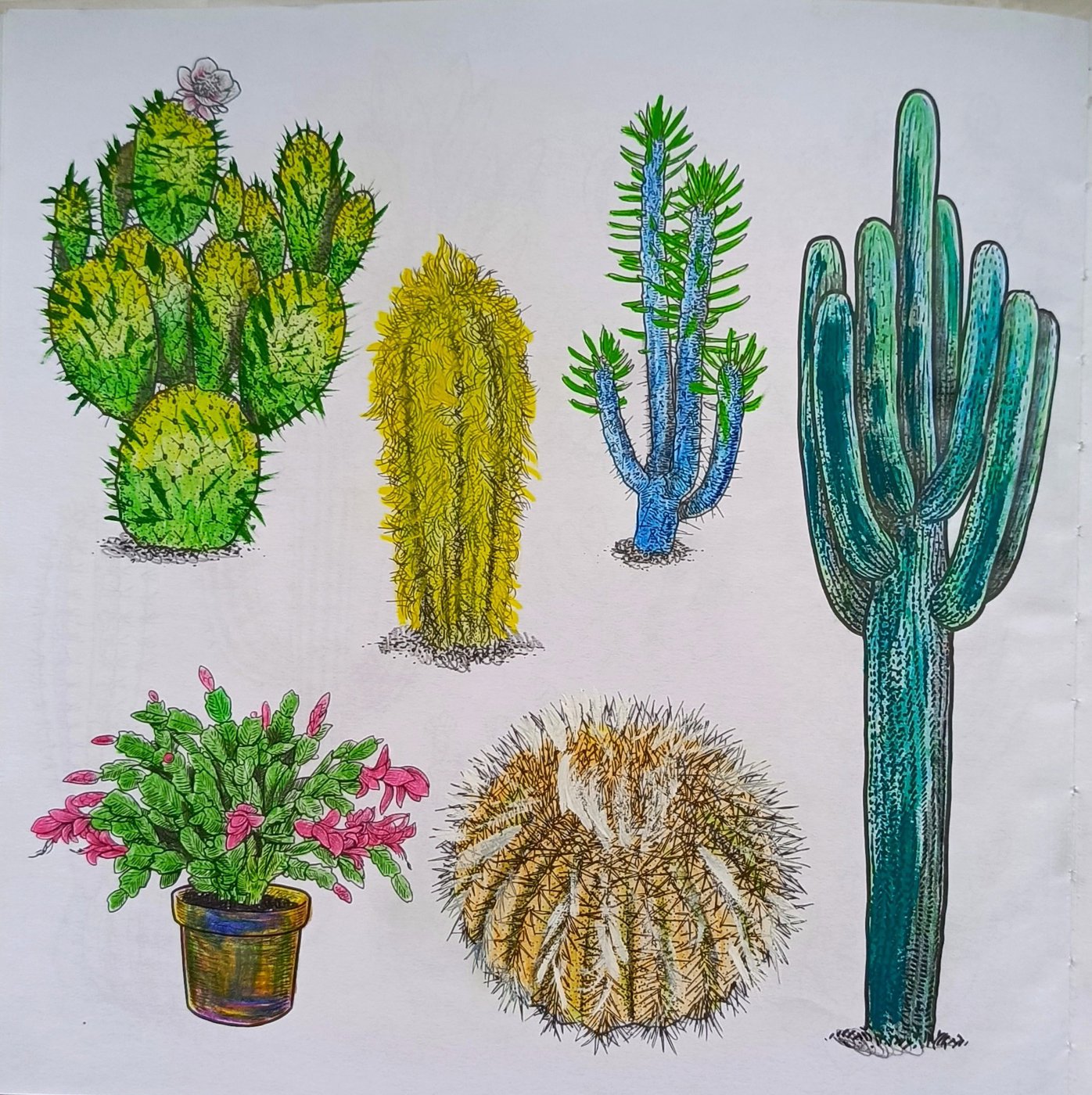 Работа от RomanovnaMari