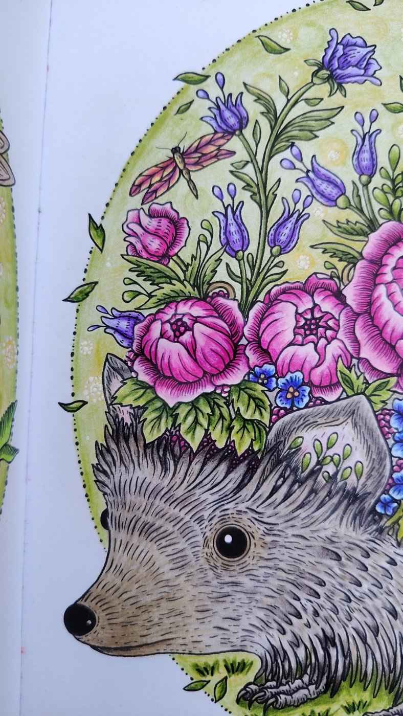 Работа от Юлия90 (3/3)