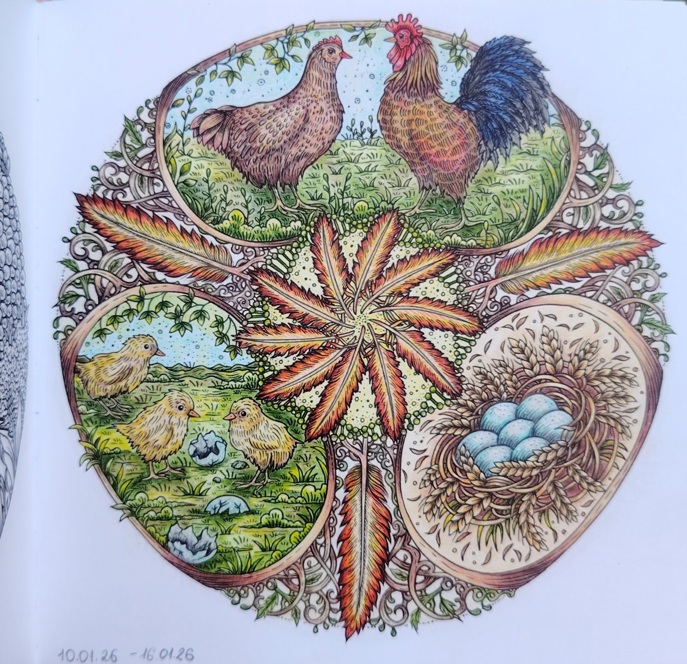 Работа от Юлия90 (1/4)