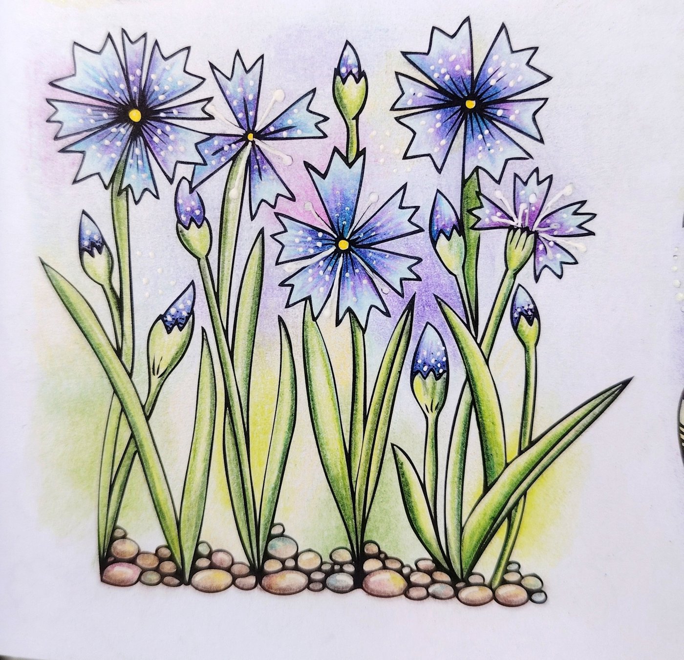 Работа от Юлия90 (2/5)