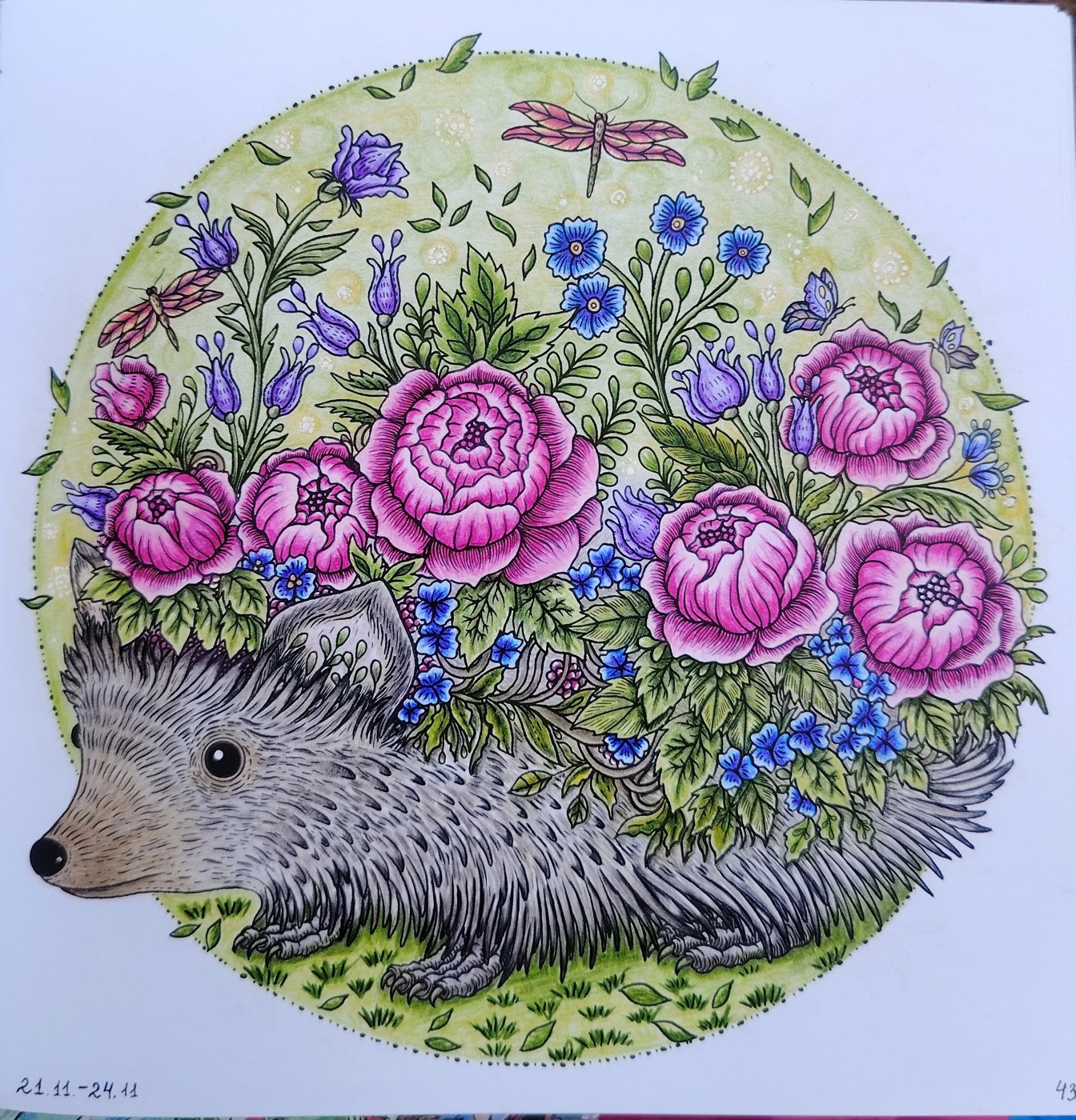 Работа от Юлия90 (1/3)