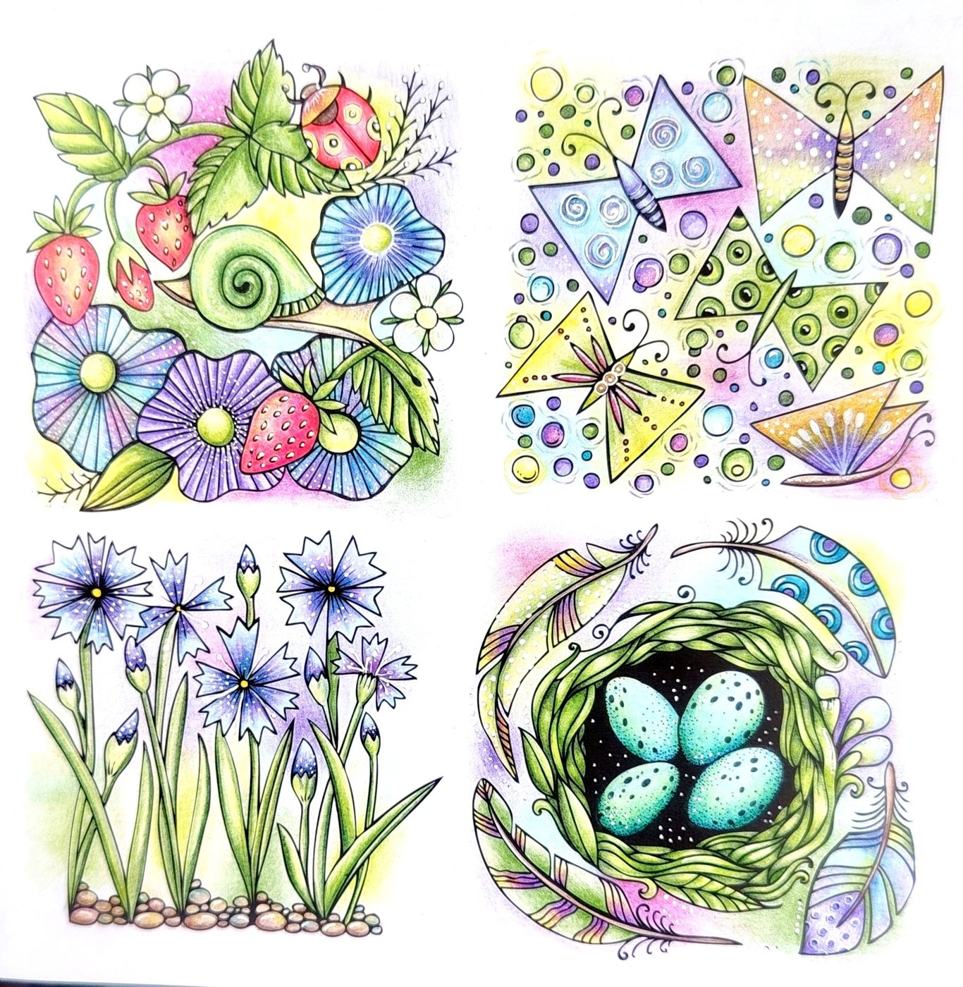 Работа от Юлия90 (1/5)