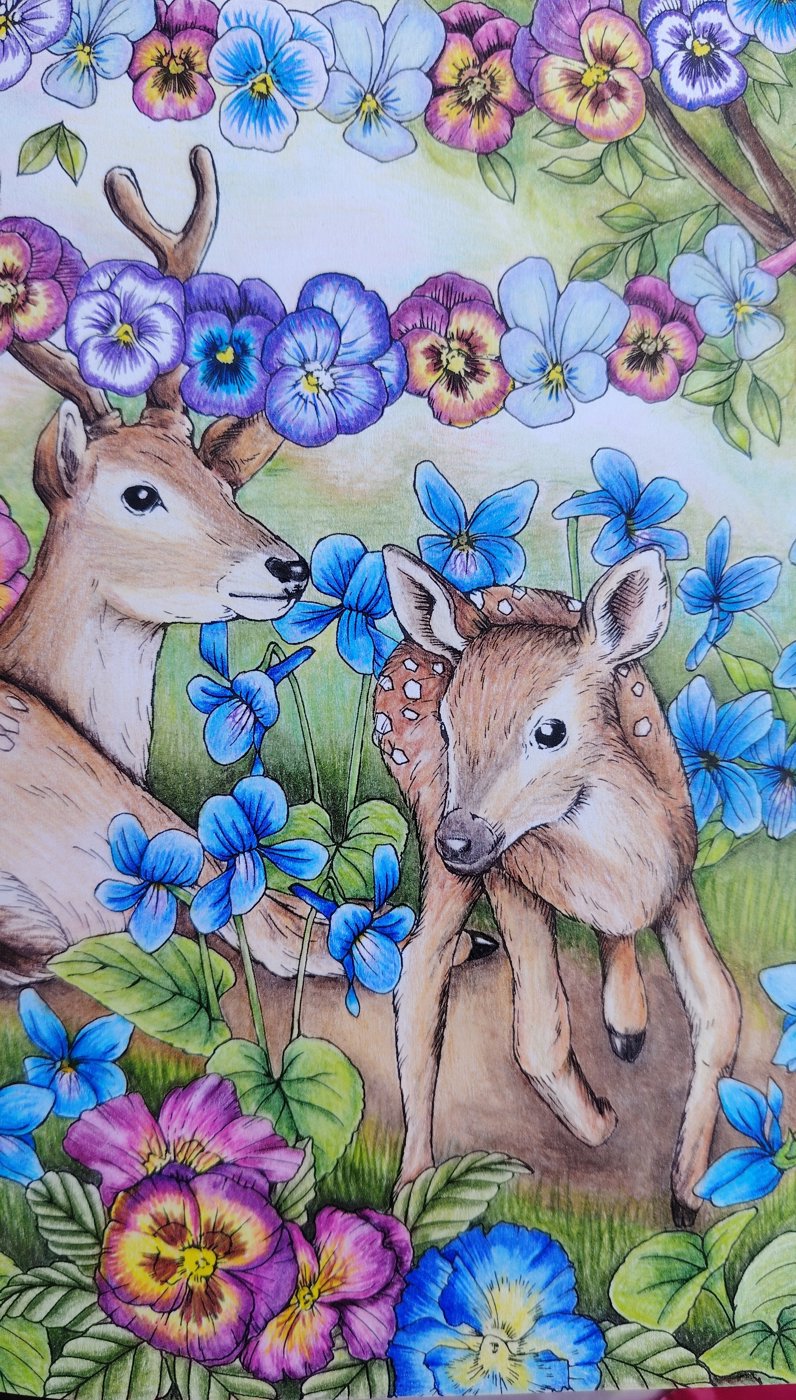 Работа от Юлия90 (3/3)