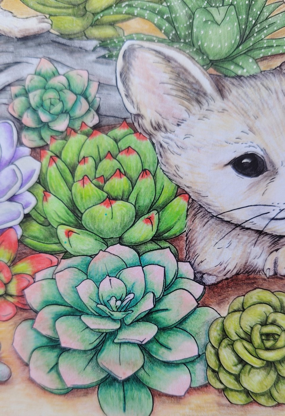 Работа от Юлия90 (2/3)