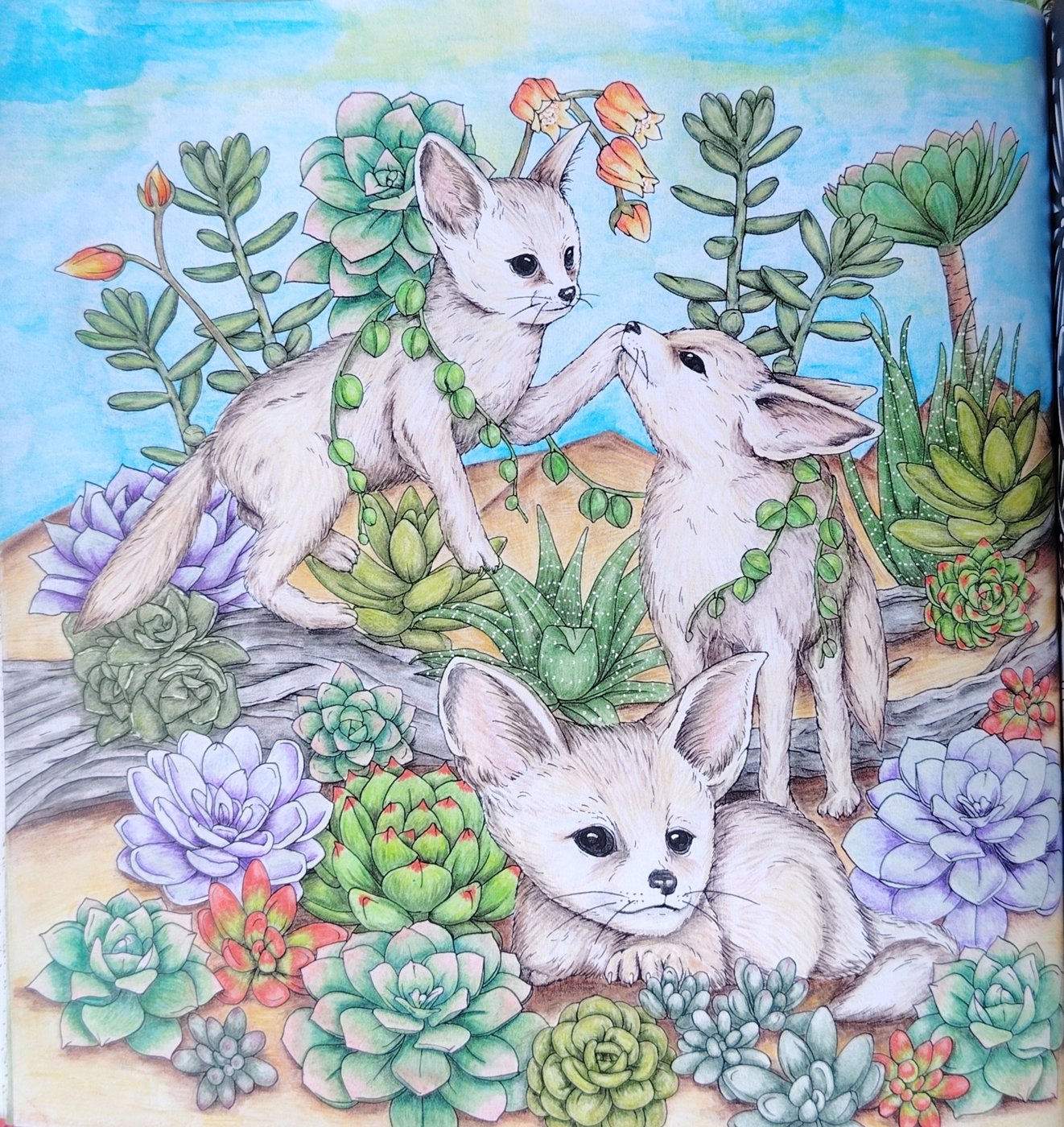 Работа от Юлия90 (1/3)