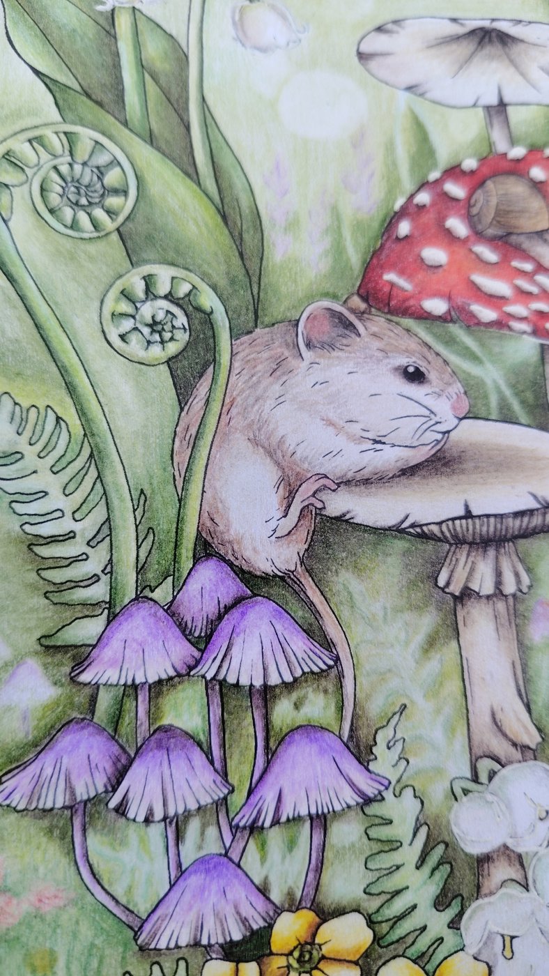 Работа от Юлия90 (2/3)