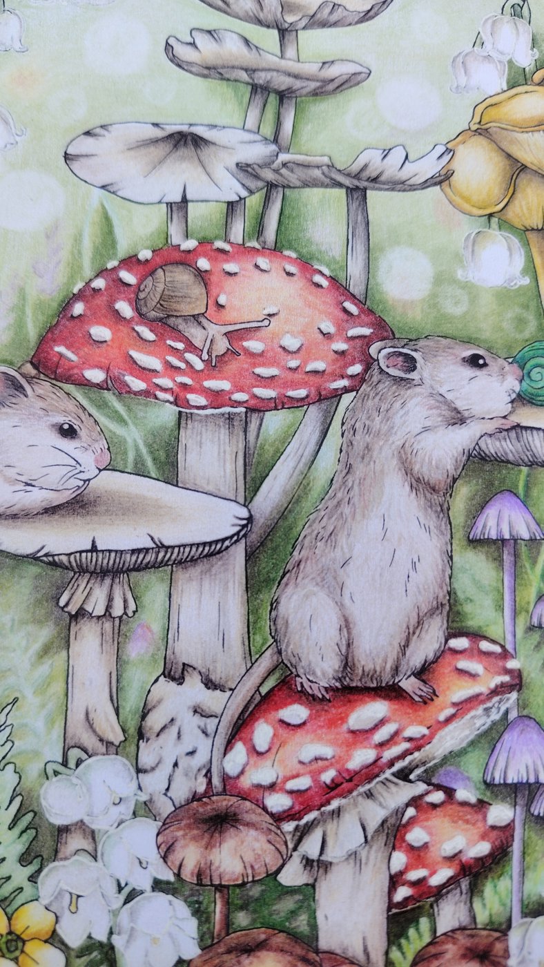 Работа от Юлия90 (3/3)