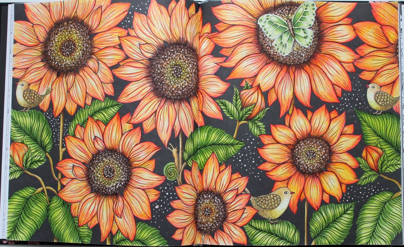 Работа от Юлия90 (1/3)