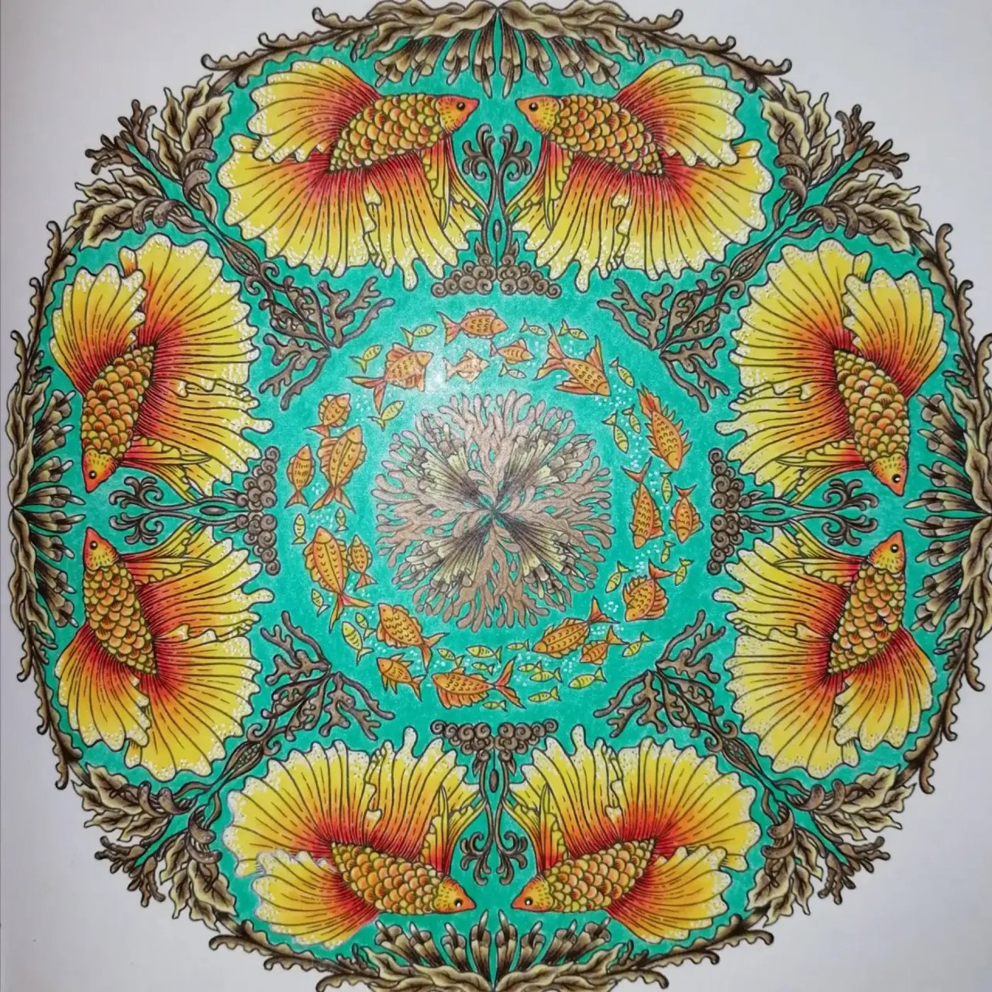 Работа от ROAcoloring