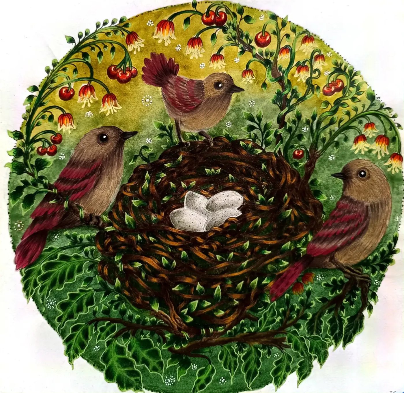 Работа от ROAcoloring