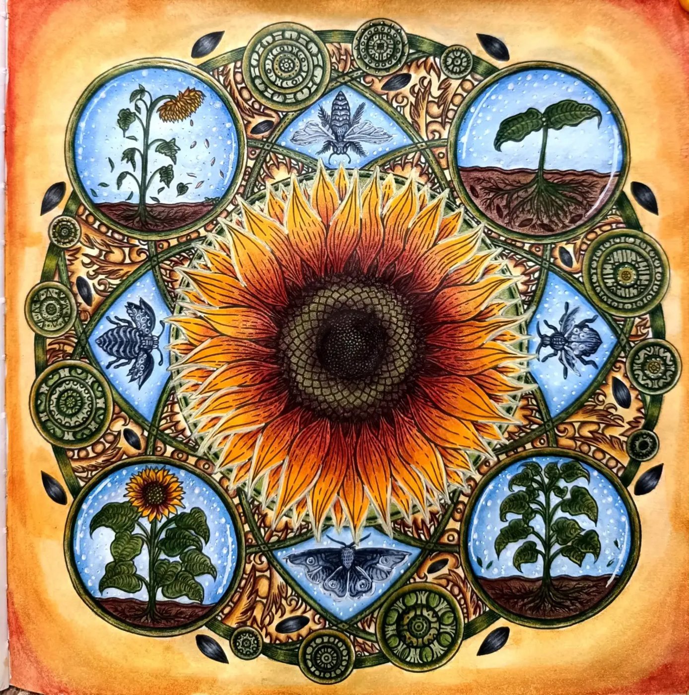 Работа от ROAcoloring