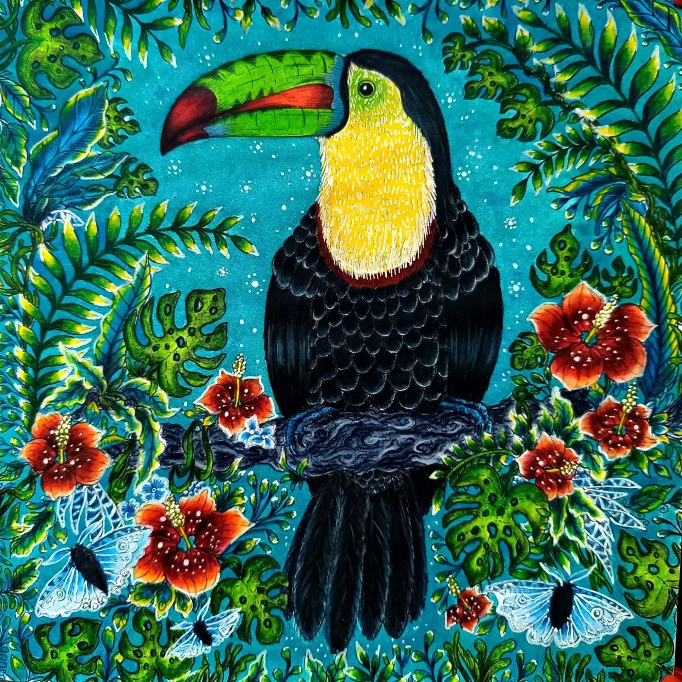 Работа от ROAcoloring