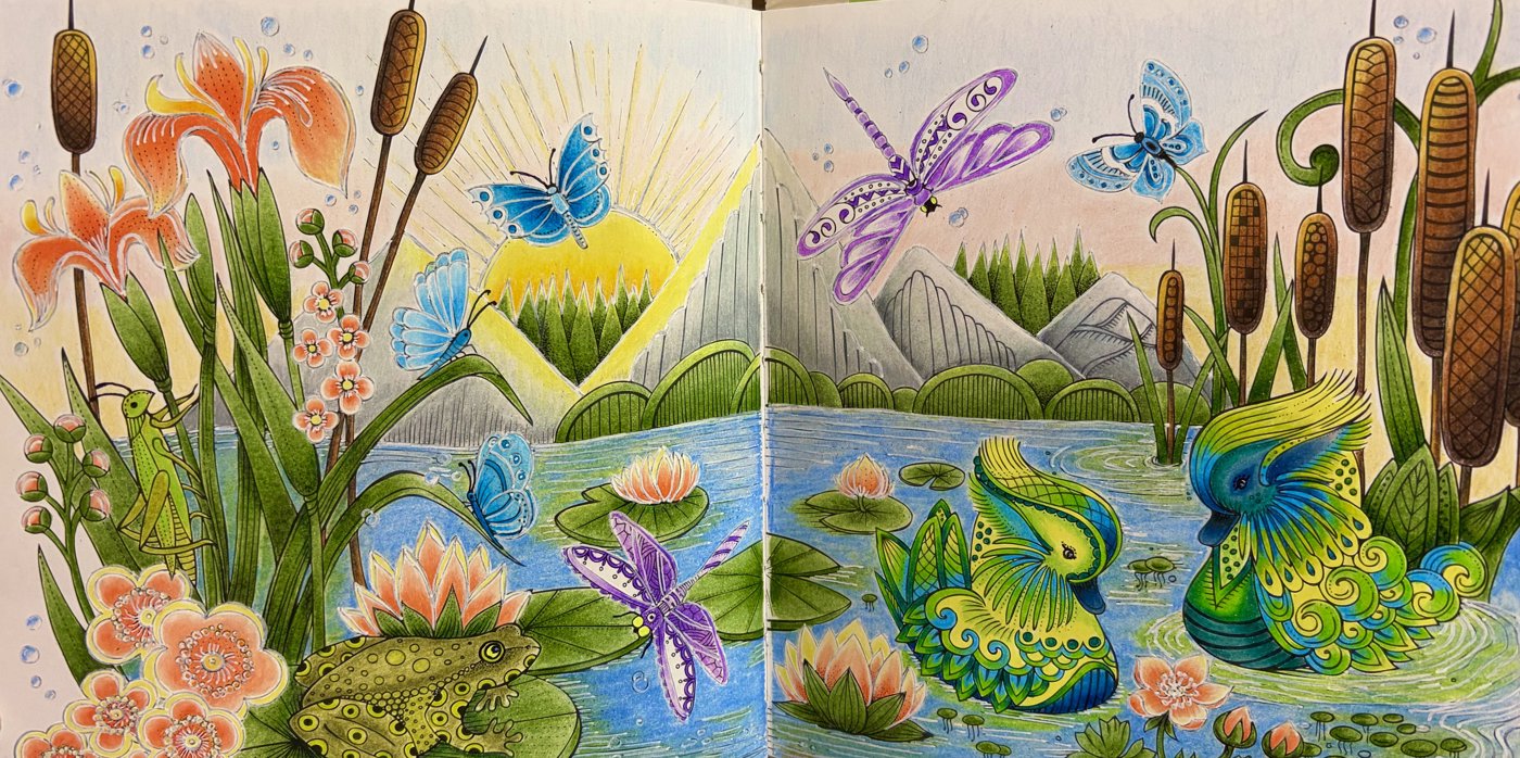 Работа от ROAcoloring