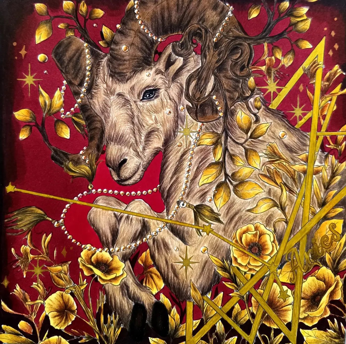 Работа от ROAcoloring