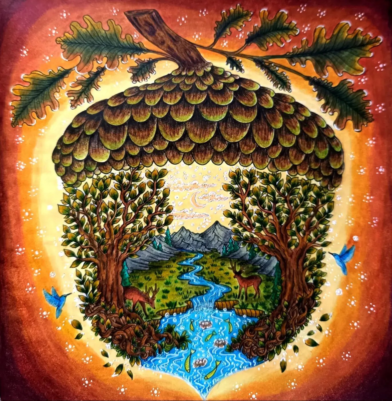 Работа от ROAcoloring