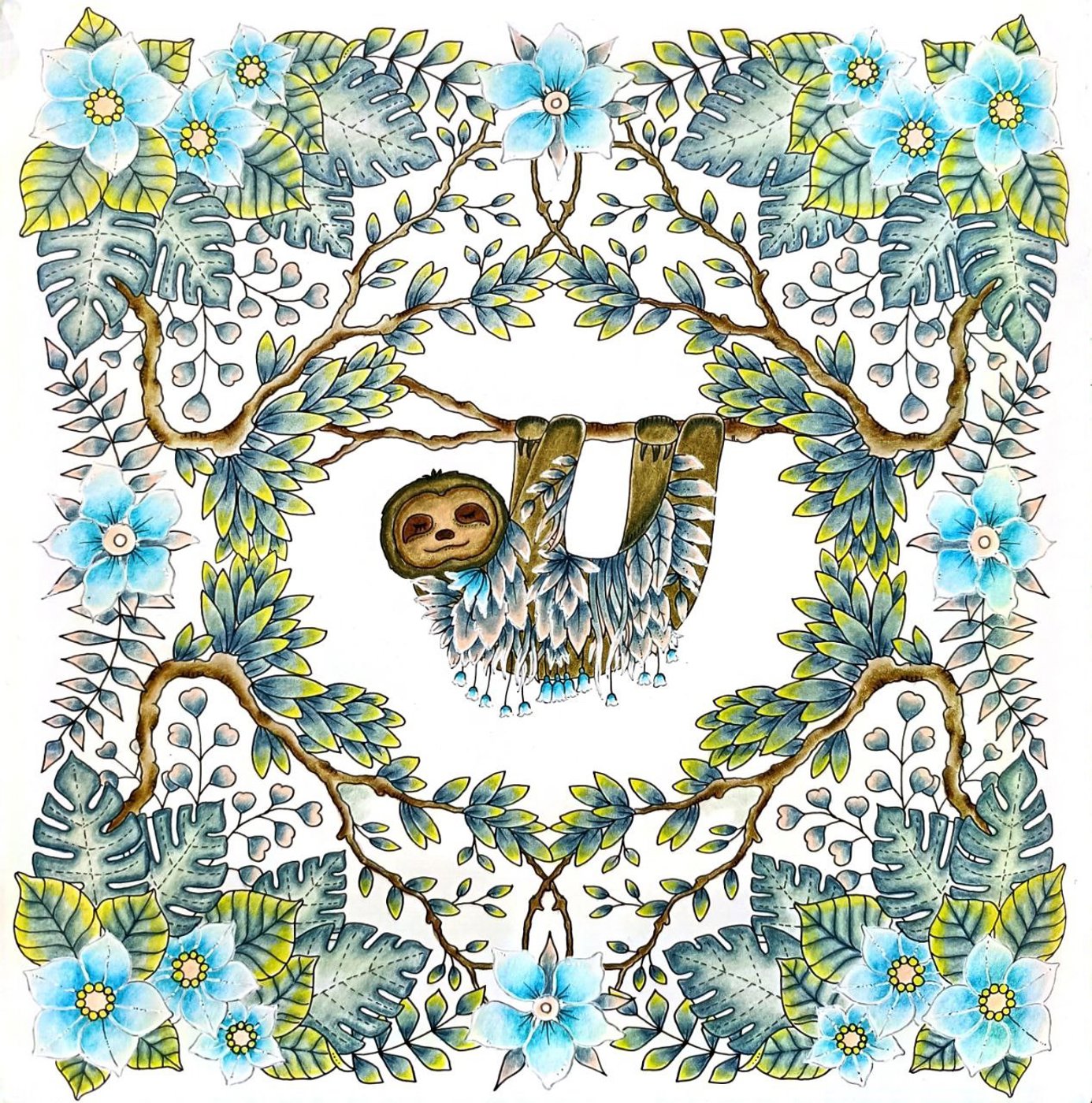 Работа от ROAcoloring