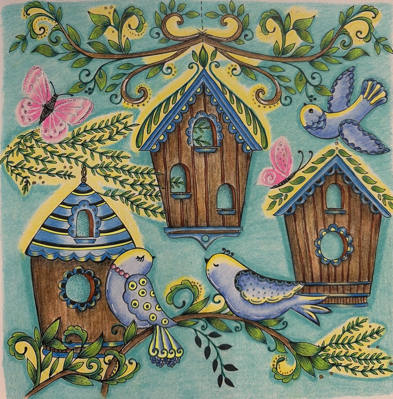 Работа от ROAcoloring