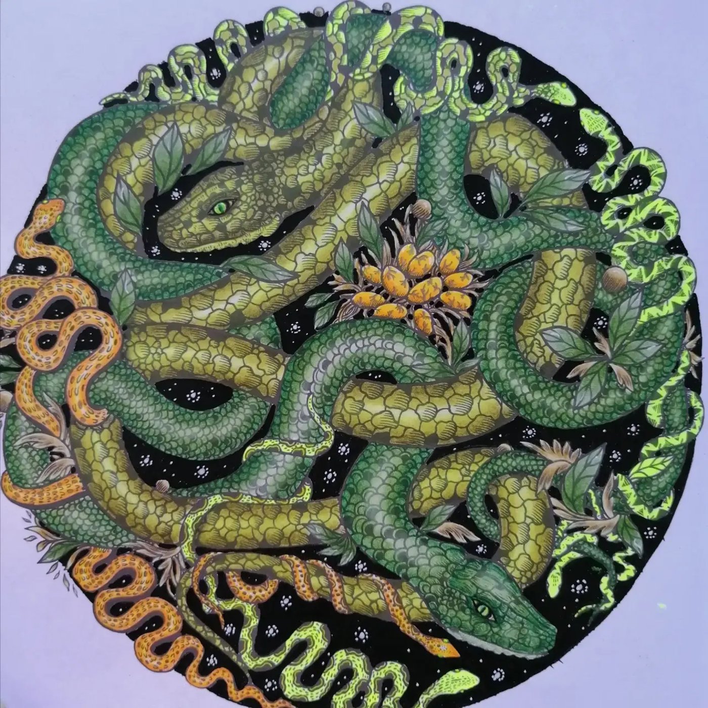 Работа от ROAcoloring