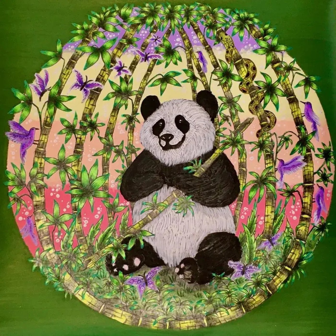 Работа от ROAcoloring