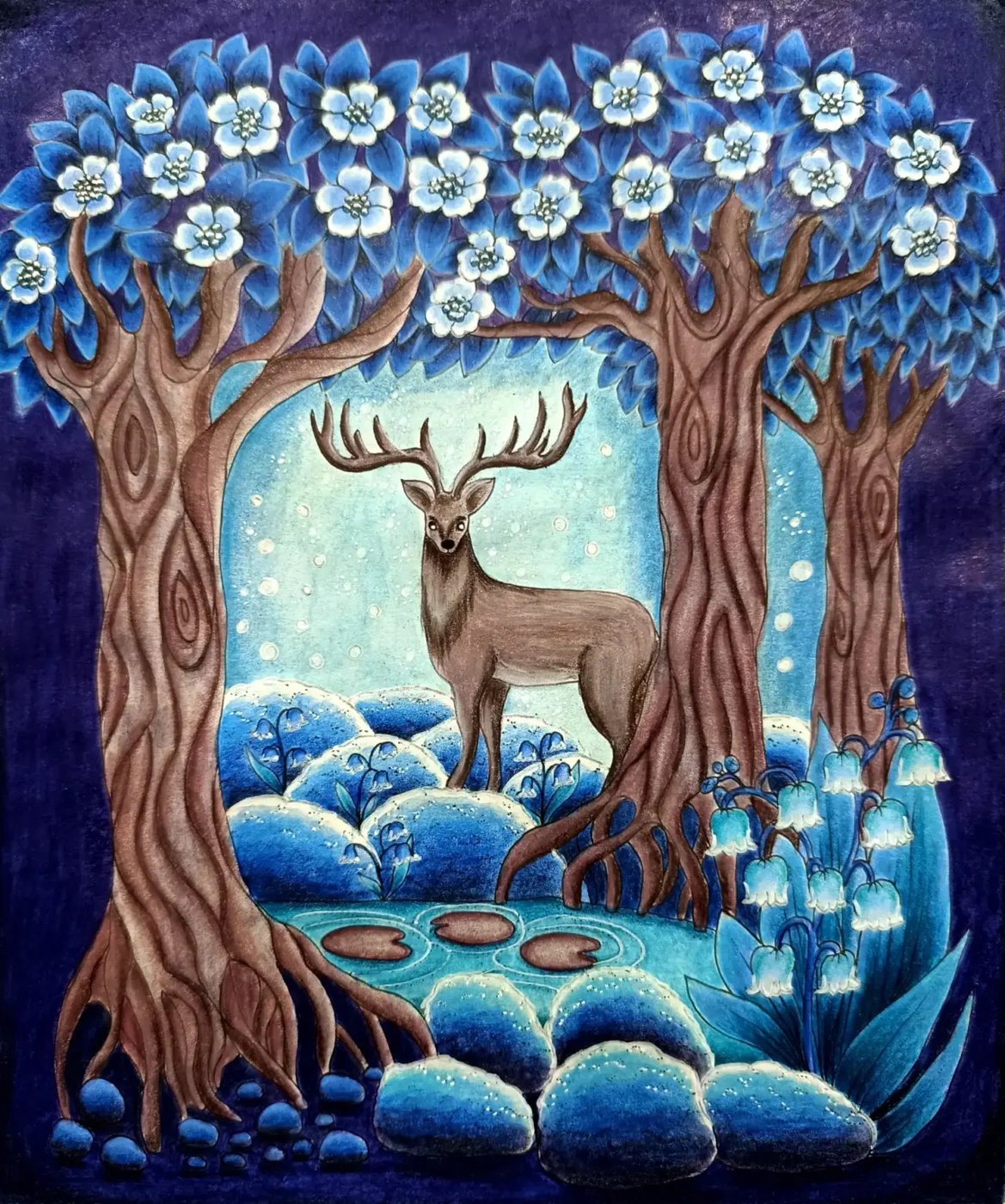 Работа от ROAcoloring