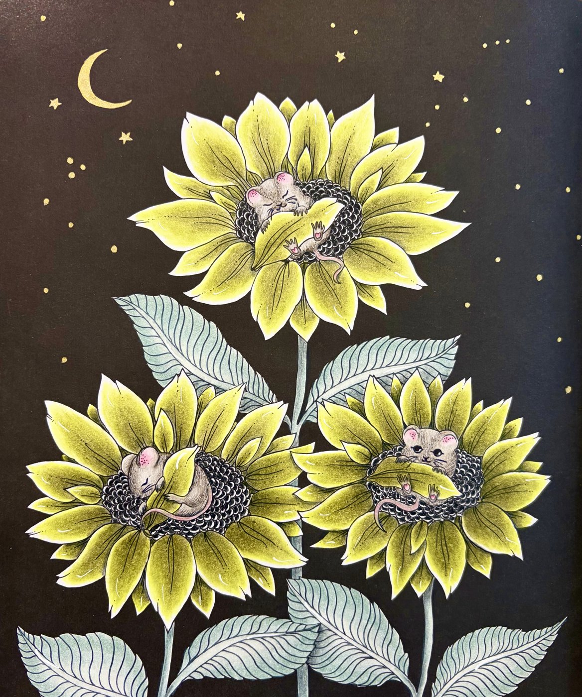 Работа от ROAcoloring