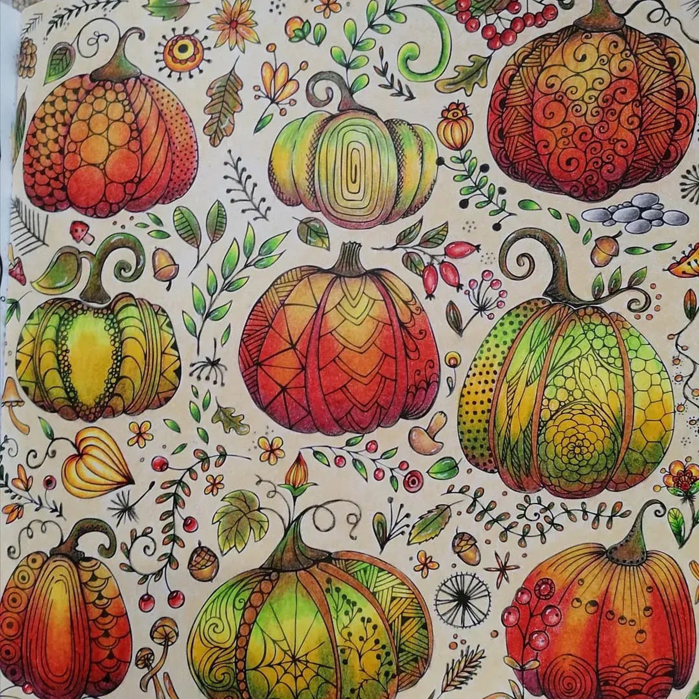 Работа от ROAcoloring