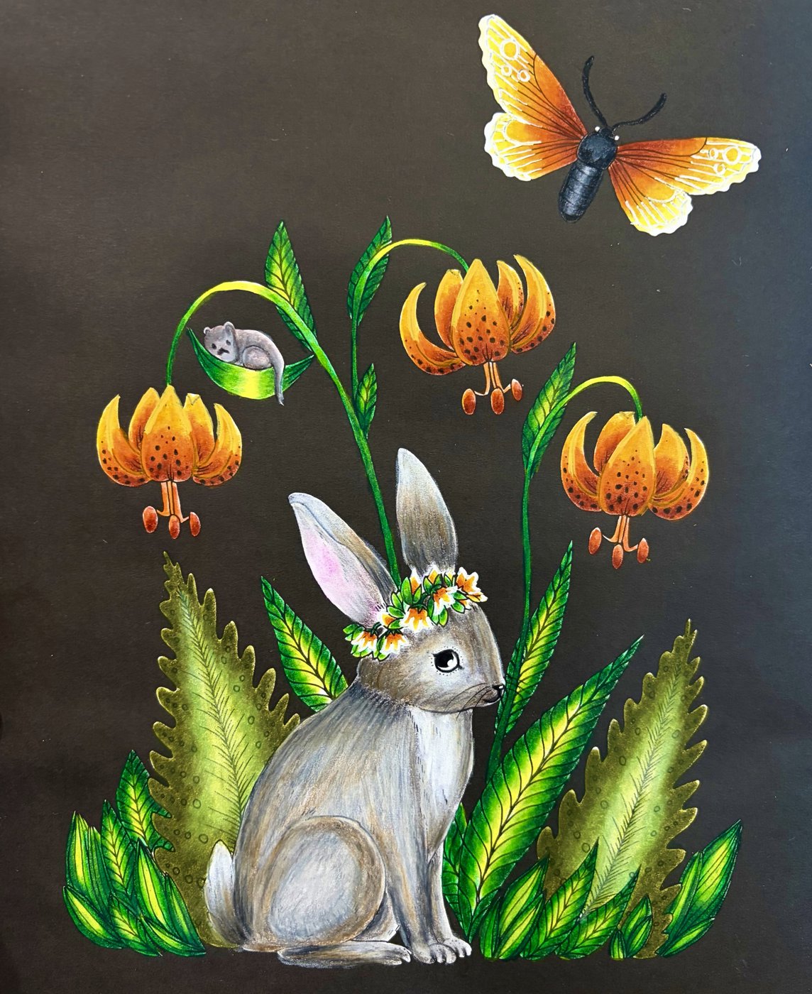 Работа от ROAcoloring