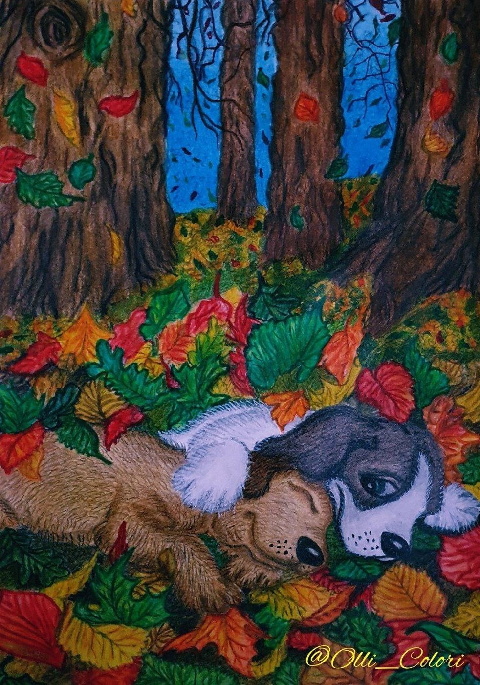 📚 Barbara Sobczy "Szczeniaki". от OlliColori