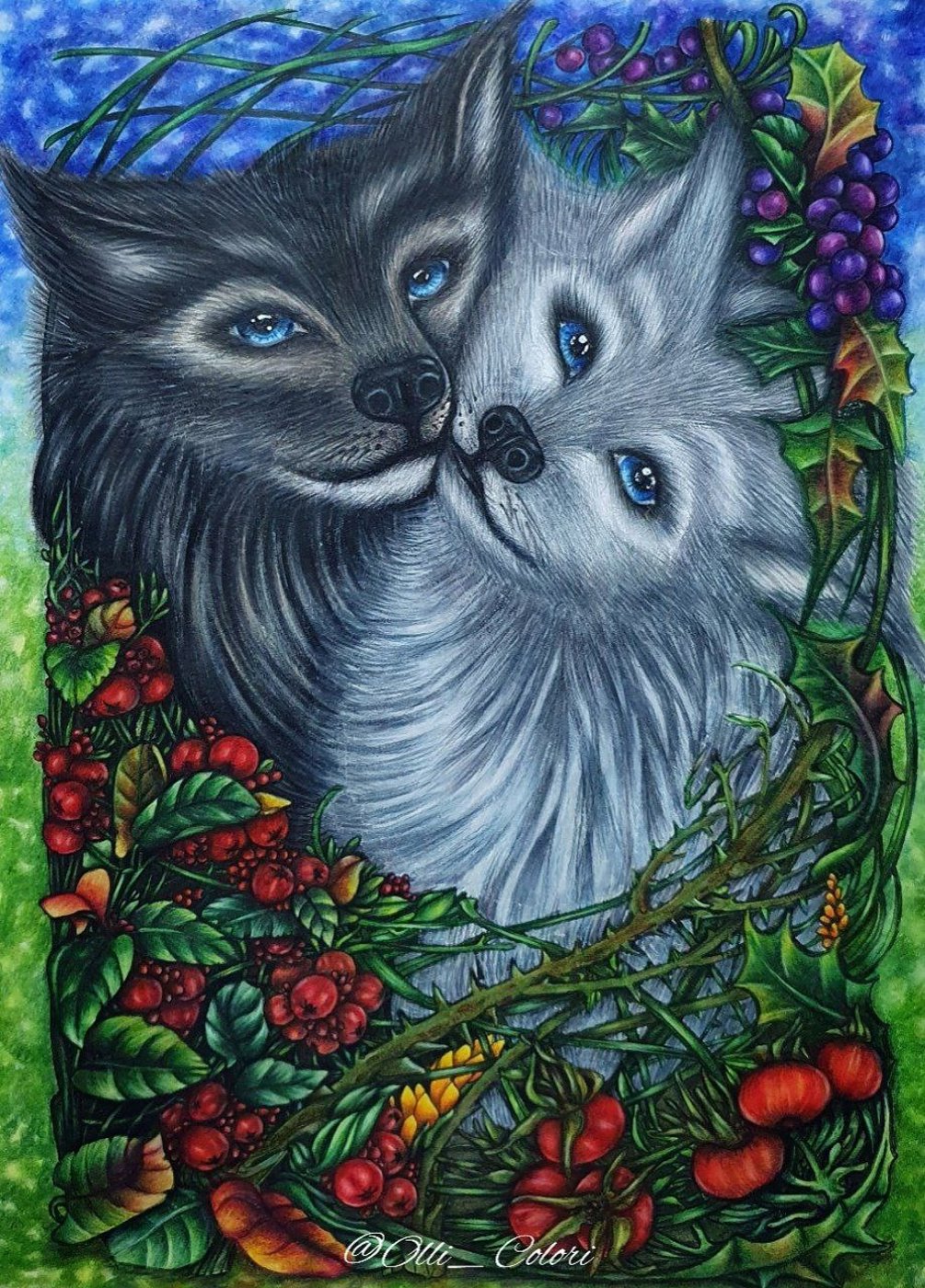 Работа от OlliColori