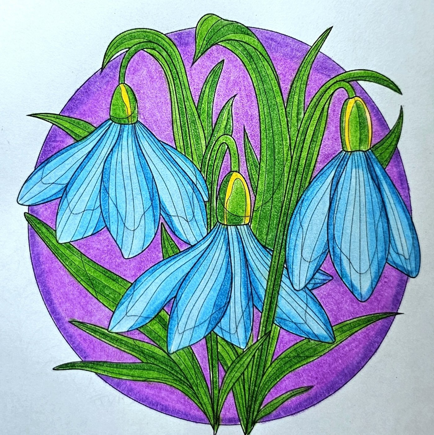 Подснежники от ColorFun