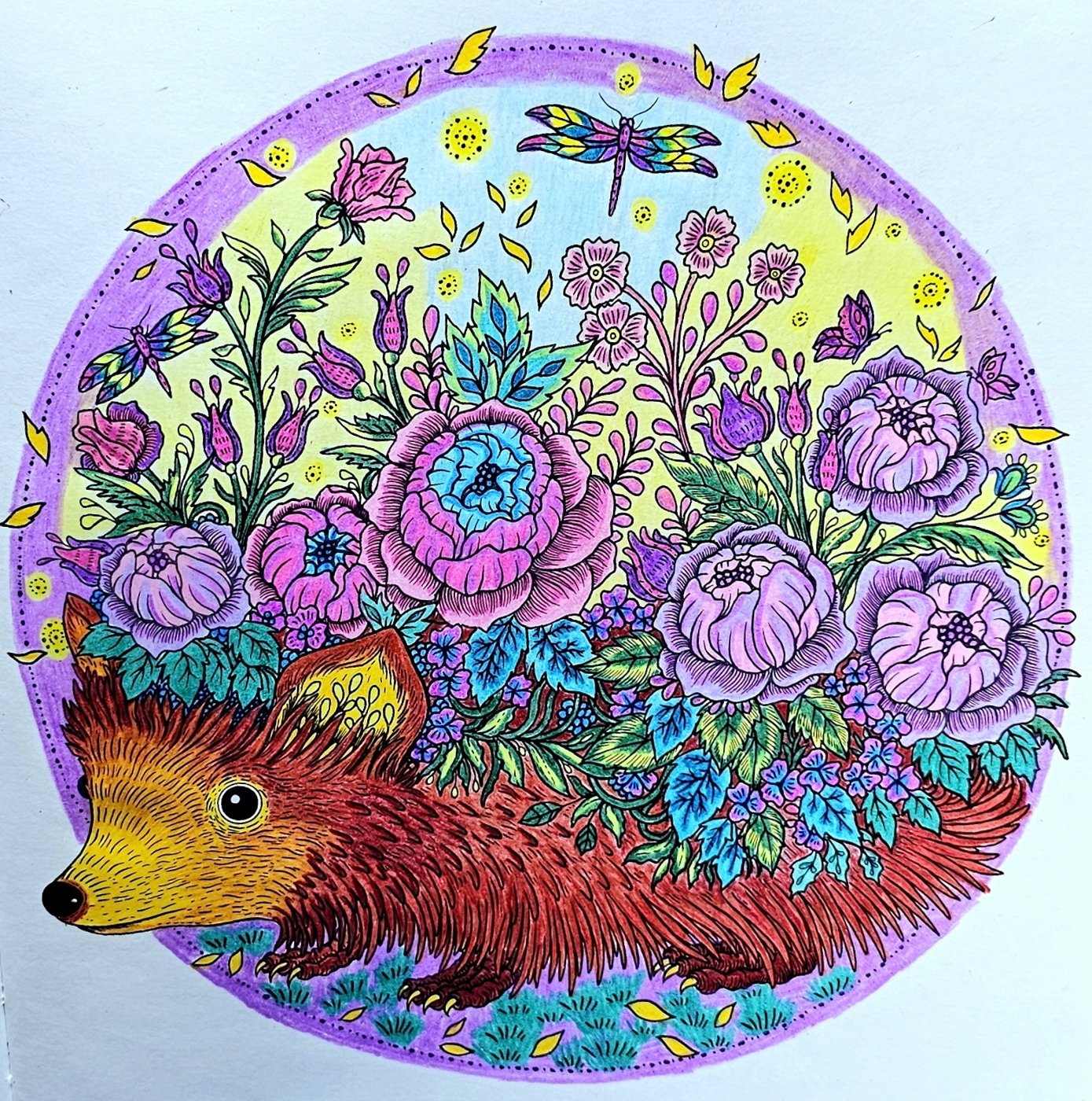 Работа от ColorFun