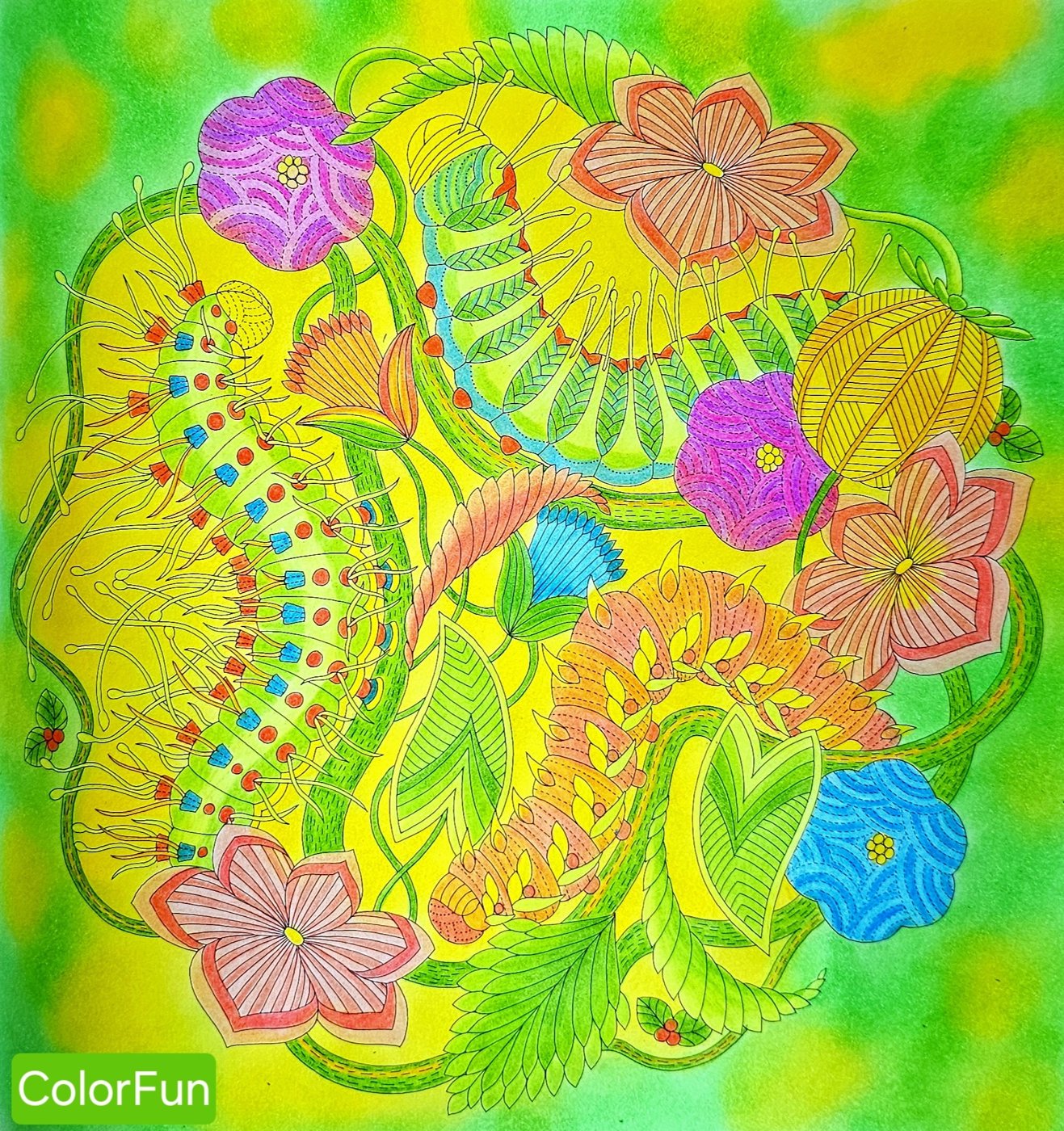 Работа от ColorFun