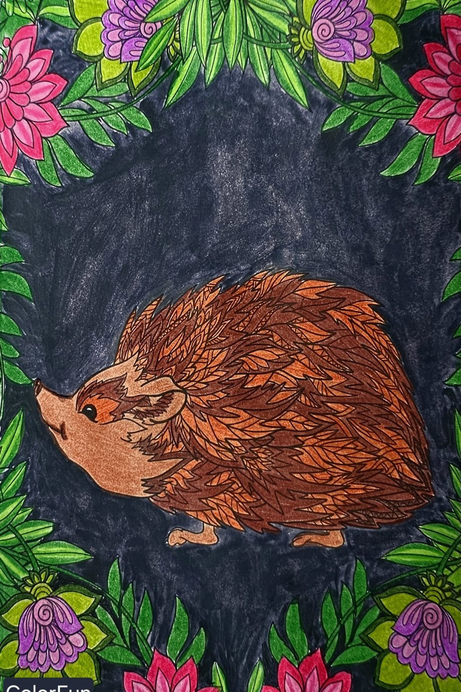 Ёжик от ColorFun