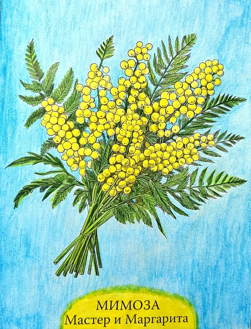 Работа от ColorFun