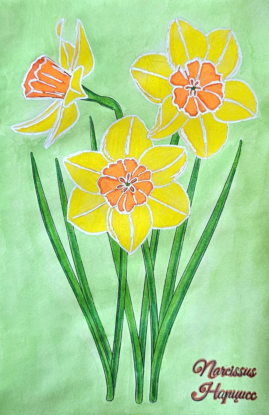 Нарцисс от ColorFun