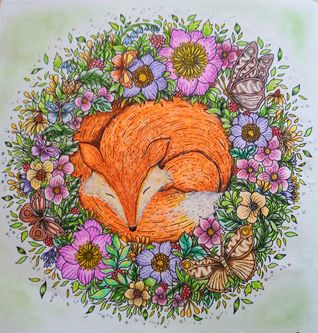 Работа от Lana hobby