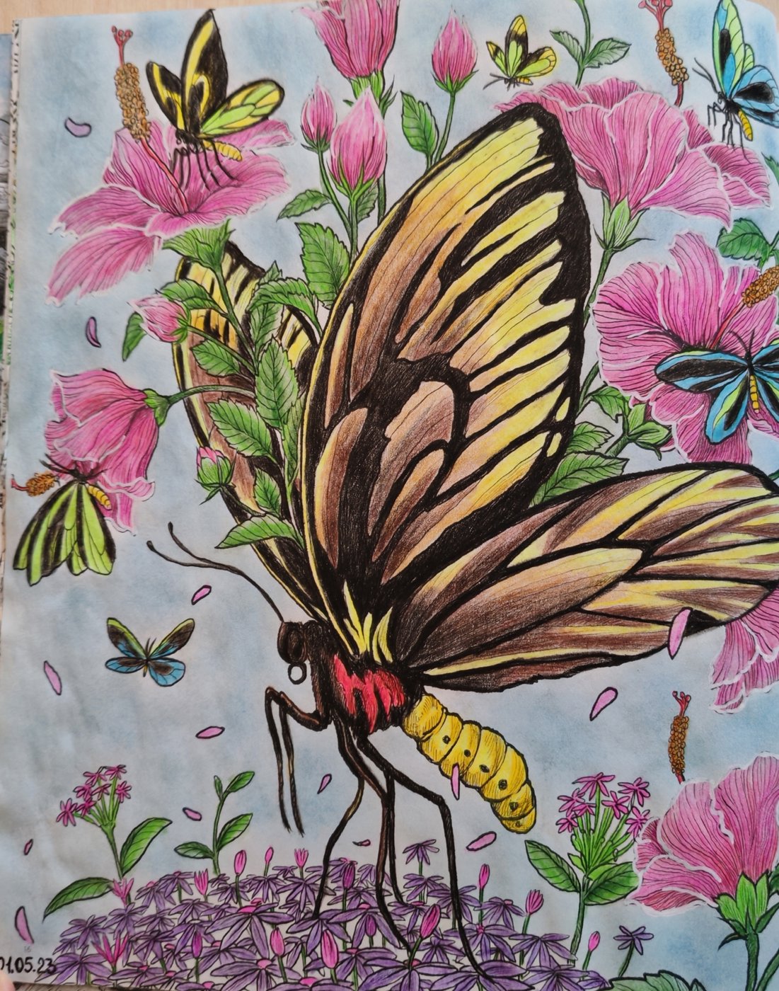 Работа от Lana hobby