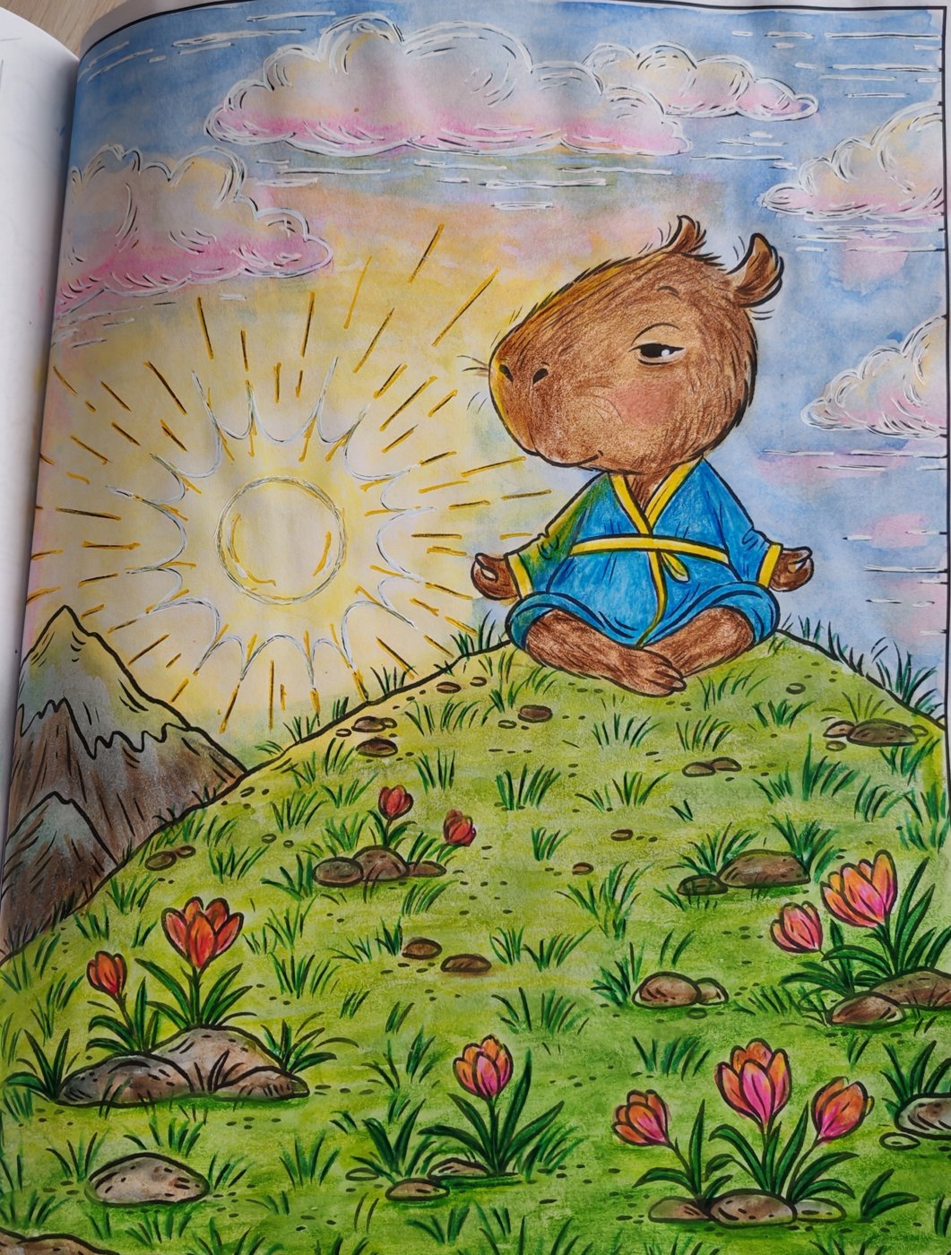 Работа от Lana hobby