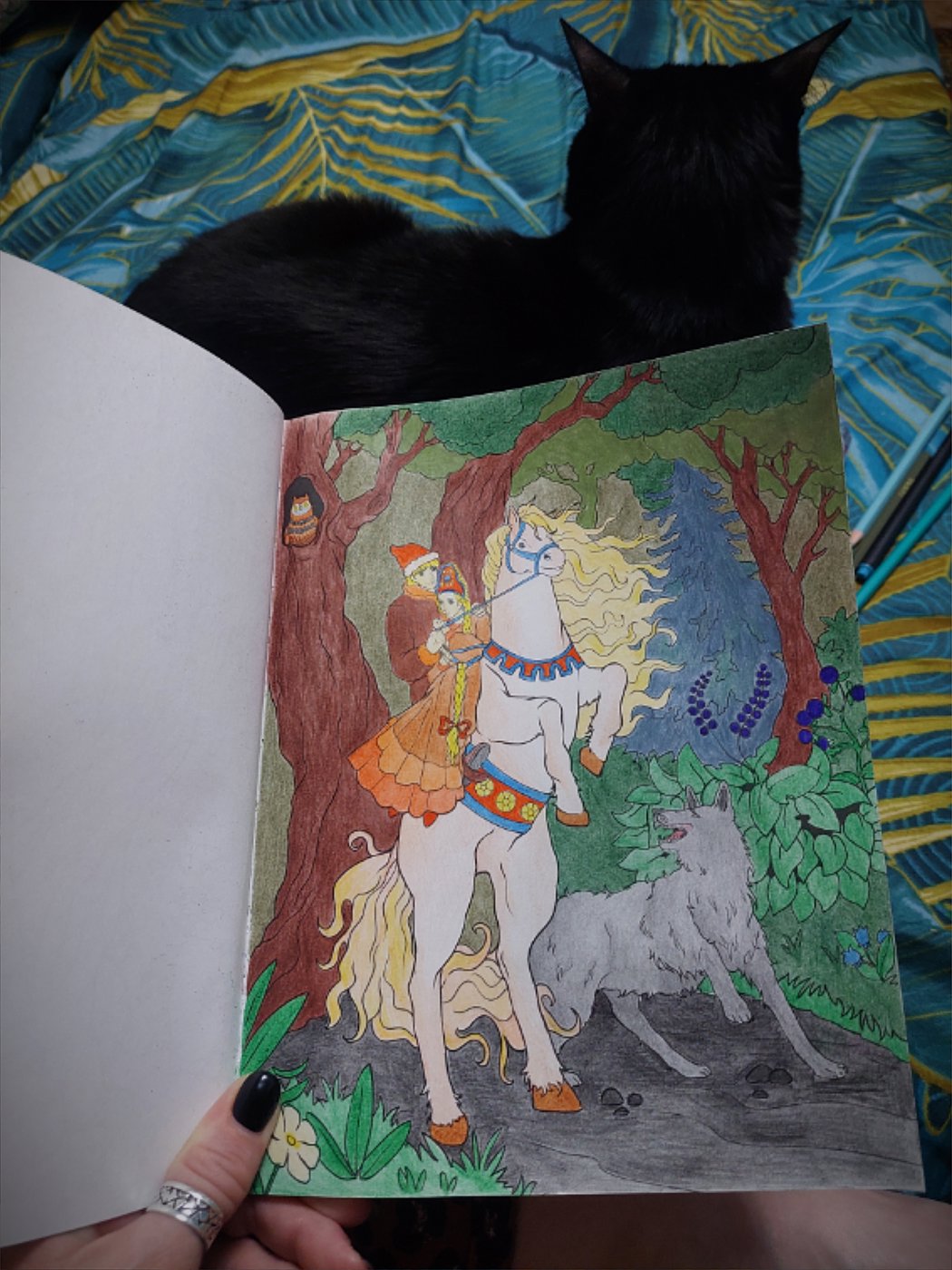 Иван Царевич и Серый волк от Katrin