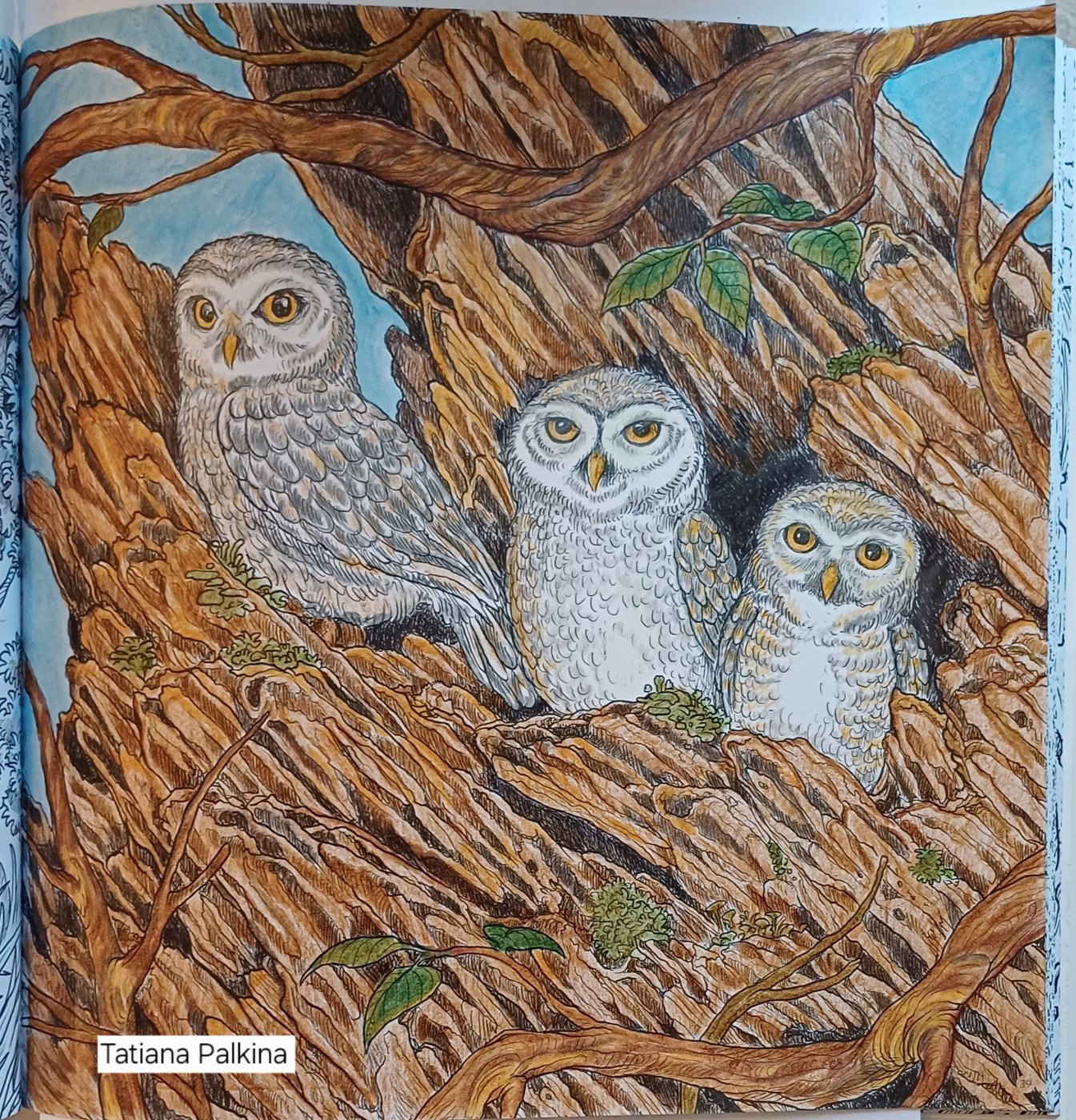 Работа от Tetiana