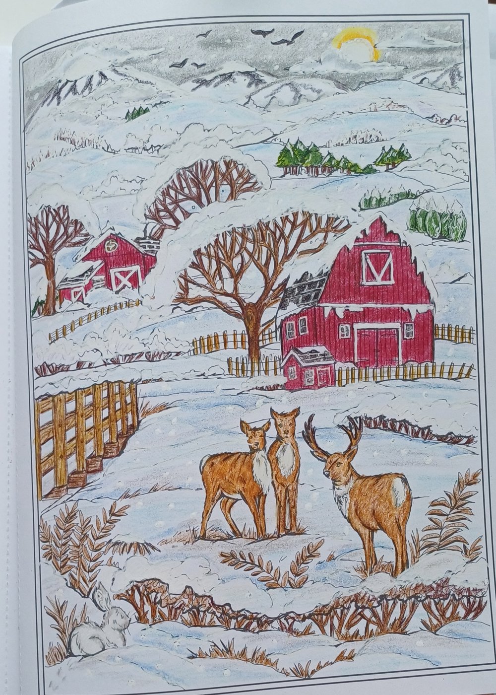 Rådyr i Norge 🦌❤️🇸🇯 от Tetiana