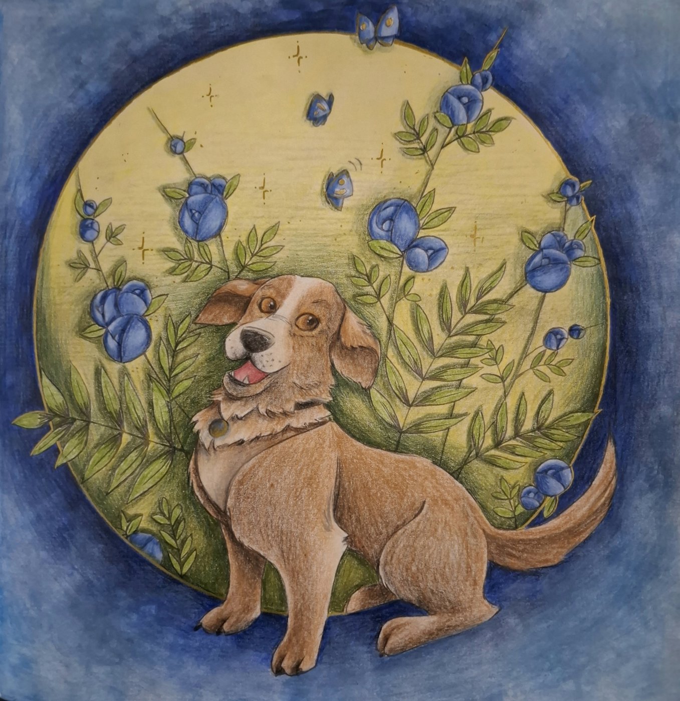 Работа от Asta